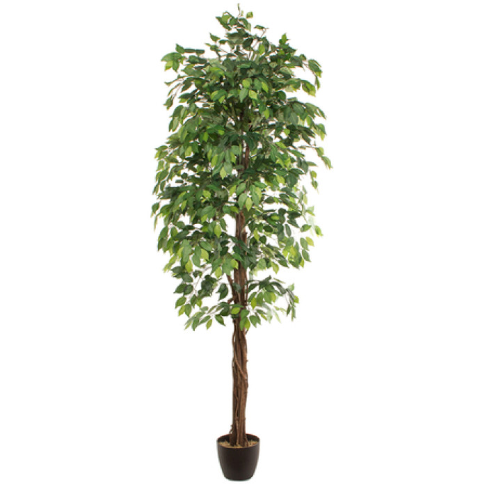 Planta artificial FICUS 2.40m